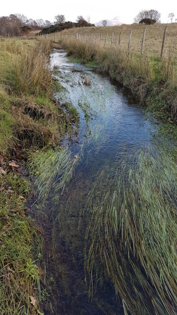 river